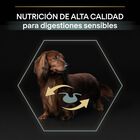Pro Plan Adult Mini OptiDigest Cordeiro ração para cães , , large image number null